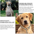 Dog Chain Collars 304 Stainless Steel, Anti Winding Chew Proof Necklace for Small to Large Dogs Training
