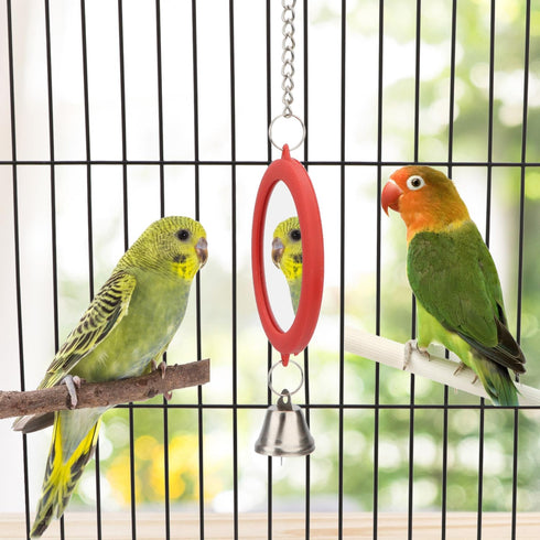 Hypeety Pet Bird Mirror with Bell Interactive Parrot Toy for Cockatiel Parakeets Canaries