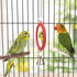 Hypeety Pet Bird Mirror with Bell Interactive Parrot Toy for Cockatiel Parakeets Canaries