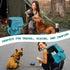 PetAmi Airline Approved Dog Travel Backpack - Teal Blue with Food Container and Collapsible Bowls