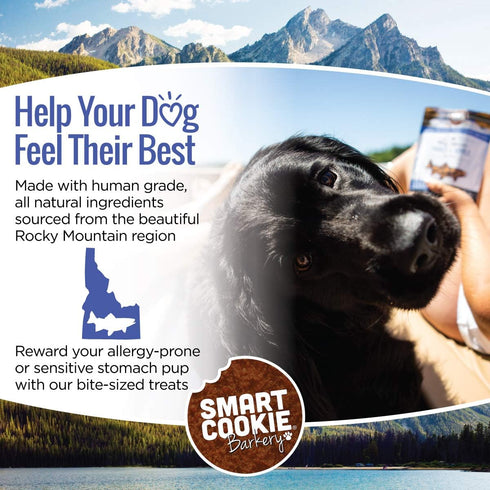 All Natural Dog Treats, Trout & Apple, Soft, Grain Free, Human-Grade, 5oz Bag for Dogs & Puppies