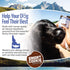 All Natural Dog Treats, Trout & Apple, Soft, Grain Free, Human-Grade, 5oz Bag for Dogs & Puppies