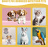 Quick Dry Dog Nail Polish Pens, 12 Colors Pet Nail Polish Kit for Dogs, Cats, and Birds, Easy to Apply