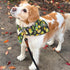 72 Packs Summer Dog Bandanas Bulk Buffalo Plaid Cat Bandana Scarf Triangle Fruit Drool Bibs Washable Adjustable