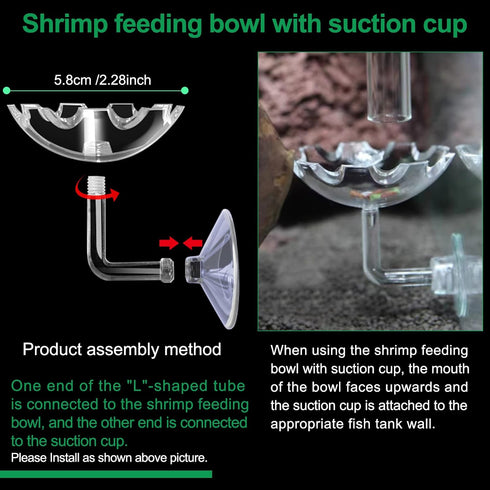 11.8 Inch Shrimp Feeding Tube with Dish, Suction Cup, Cleaning Brush, Aquarium Feeder