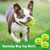 Hide and Seek Dog Toys - Squeaky Interactive Puzzle Toys for Boredom, Pack of 3 for Small and Medium Dogs