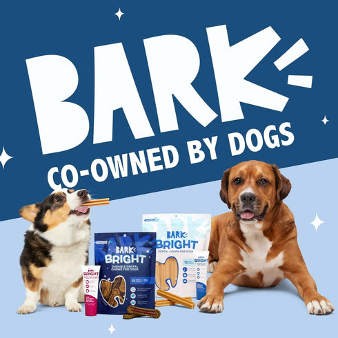 30 Barkbox Bright Original Dog Dental Kit, Teeth Cleaning Chew Sticks & Toothpaste - Small Breeds