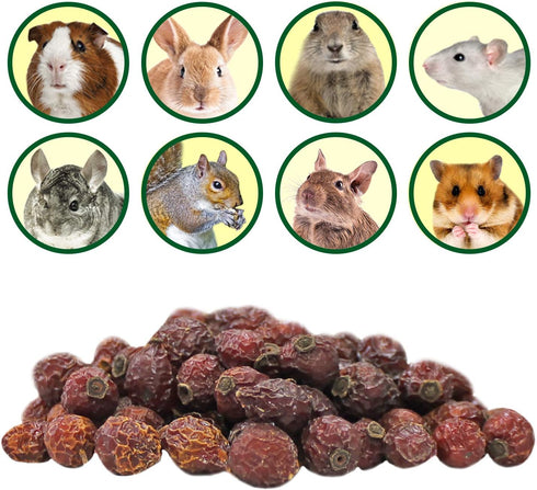 Exotic Nutrition Dried Rose HIPS (3 oz.) - Healthy Natural Treat for Small Pets like Chinchillas, Guinea Pigs, and More