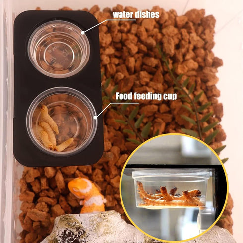 0.5oz Crested Gecko Food and Water Feeding Cups, Plastic Replacement Food Dish for Lizard and Other Small Pets (100 pcs)