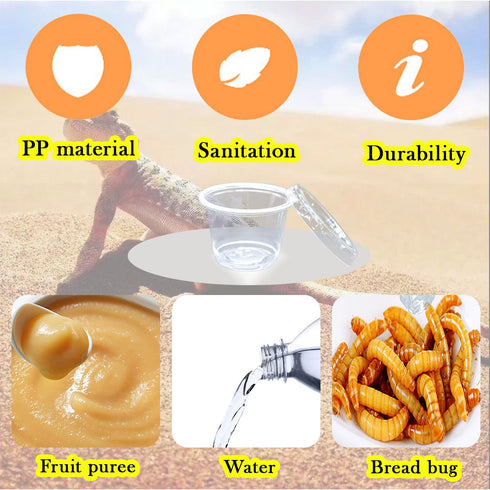 Small Reptile Food Plastic Replacement Cup, 1 oz Worm Water Dish Feeder for Tortoise, Lizard, Bearded Dragon