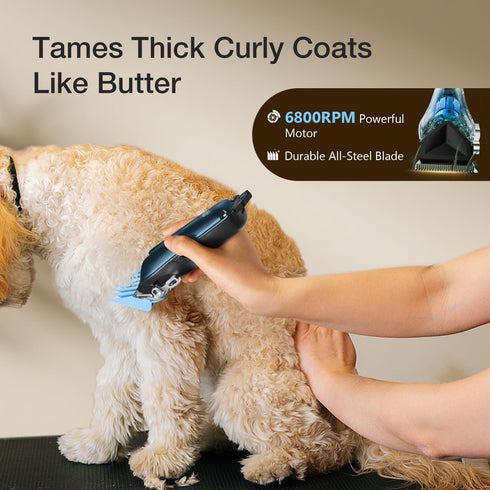 Trimmer 8 Dog Clippers for Grooming for Thick Coats, Detachable Blade Cordless Rechargeable Professional Pet Grooming