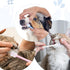 Yuanchu 3 Pack 360 WJIAAA Small Cat Dog Toothbrush, Degree Soft Silicone Pet Toothbrush Cat Dental Care Dog Oral