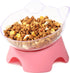 MILIFUN Raised Cat Food Bowls with Stand, Cat Dishes for Food or Water, Tilted Pet Dish with Stand