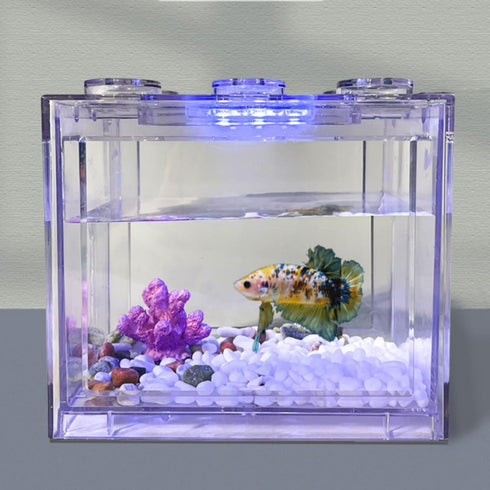 Betued Fish Light, Aquarium LED Light, Small Aquarium Water Plant Light, Soft LED Lamp