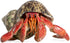 Awesome Aquatic 5 Pack 5 Unbleached Natural Hermit Crab Sponges Natural Sea Sponge Maintains Humidity Drinking Water