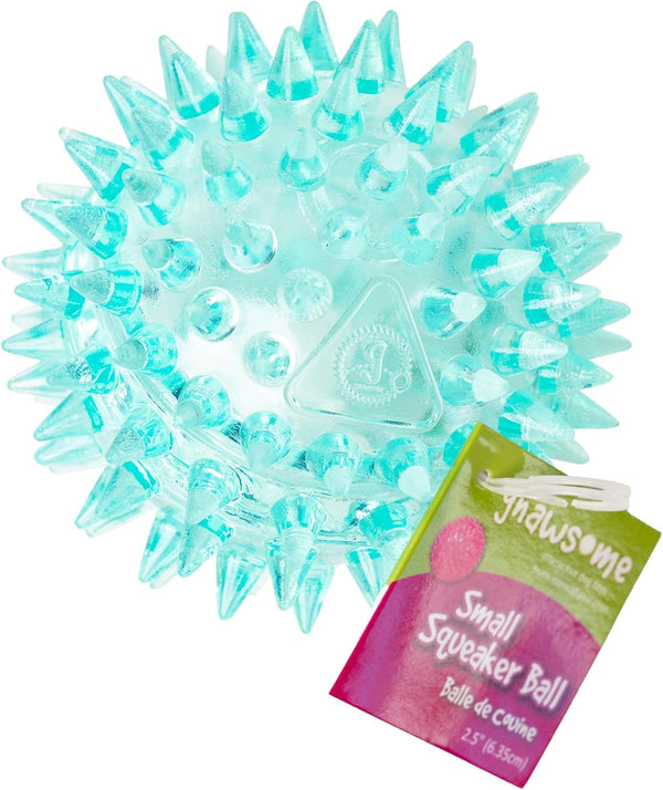 Gnawsome Dog Toys - 2.5 Spiky Squeaker Ball - Small - Dental &