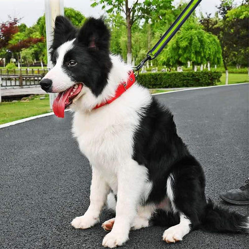 Short Dog Leash, Nylon Traffic Leash with Padded Handle, Reflective Threads for Small Medium Large Dogs