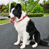 Short Dog Leash, Nylon Traffic Leash with Padded Handle, Reflective Threads for Small Medium Large Dogs