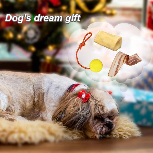 2 Pack Dog Ball, K9 Ball on Rope for Fetch, Reward, Play (6cm)