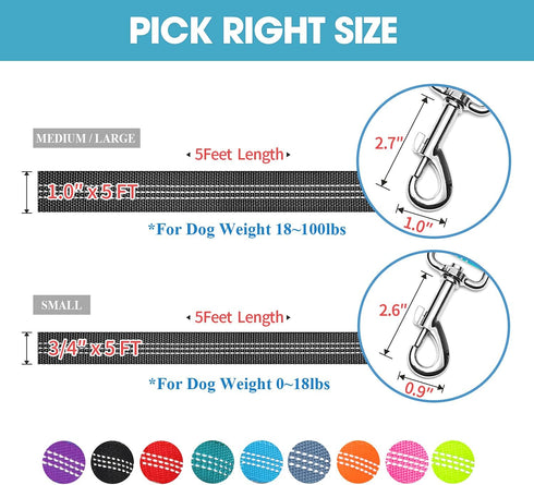 BAAPET Two Handle Dog Leash, Dual Soft Padded Handles with Traffic Control for Small, Medium, or Large Dogs (1.0" x 5