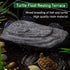 Tfwadmx Turtle Basking Platform Turtle Dock Climbing Ramp Tortoise Resting Terrace with Suction Cups Aquarium Ornament Turtle Tank Float Decorations for Amphibians Frogs Newts Lizard (Grey)