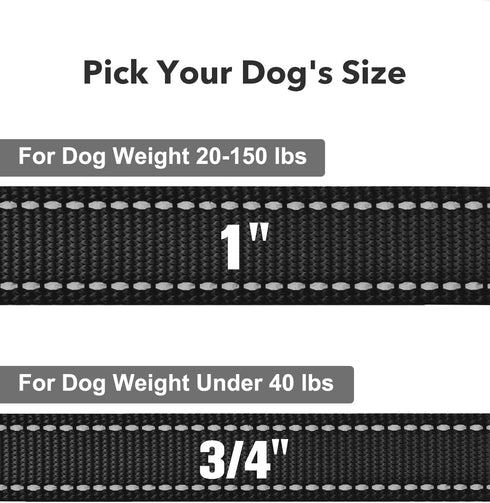 Taglory Dog Leash - Black Double-Sided Reflective Leash with Soft Neoprene Padded Handle, 3/4 inch by 6 ft for Small