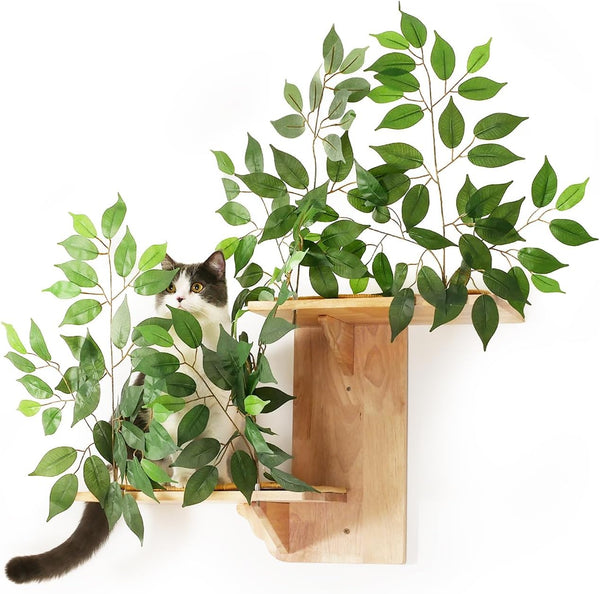 Meowoou Cat Wall Shelves with Leaves, 2 Platform Cat Wall Furniture, Cat