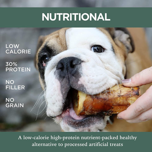 K9 Connoisseur Single Ingredient Dog Bones for Small Breed Dogs, Natural Long Lasting Chew Treat, 1 Pack