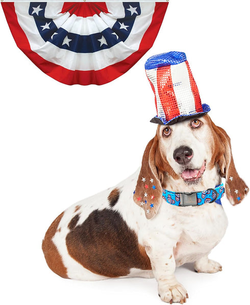 Lionheart Glory American Flag Dog Collar, Heavy Duty Adjustable, 4th of July Pet Gift for Medium Dogs