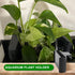 Rimmed 5 0.5 inch Aquarium Plant Holder for Tank, Aquarium Hanging Plant Holder, Plastic Aquatic Plant Pot with Hole