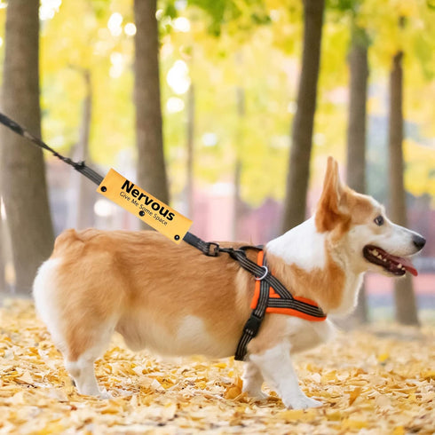 Rescue Dog Anxious Dog Leash Sleeve, Nervous Dog Leash Sleeve Gift (Nervous Space Sleeve)