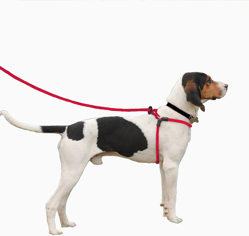 No Pull Dog Harness and Leash Set by Harness Lead, Anti Pull for All Breeds, Cushioned Rope Design (Small/Medium, Pink)