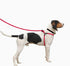 No Pull Dog Harness and Leash Set by Harness Lead, Anti Pull for All Breeds, Cushioned Rope Design (Small/Medium, Pink)