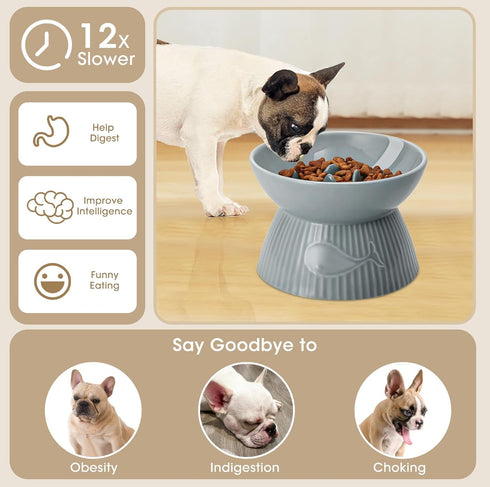 Elevated Slow Feeder Bowl for Cats and Small Dogs, Ceramic Anti-Tipping & Spill-Proof, Easy to Clean, No Black Chin