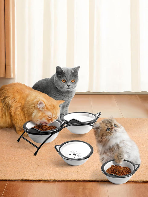 Y YHY Raised Cat Bowls, 12 oz Ceramic Elevated Food and Water Dishes with Stand, Dishwasher Safe for Cats and Small Dogs