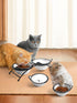 Y YHY Raised Cat Bowls, 12 oz Ceramic Elevated Food and Water Dishes with Stand, Dishwasher Safe for Cats and Small Dogs