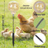 PRINTUB 2 Pack Chicken Pecking Toys, Chick Interactive Slow Feed Enrichment Toy, Chicken Swing Feeder with Spring