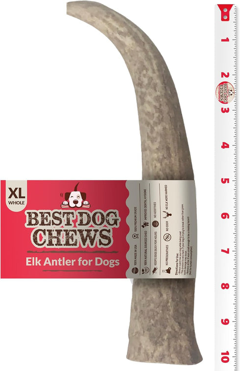 Best Chews Whole Elk Antlers for Dogs – Natural USA Sourced Antlers for Aggressive Chewers, Promotes Oral Health