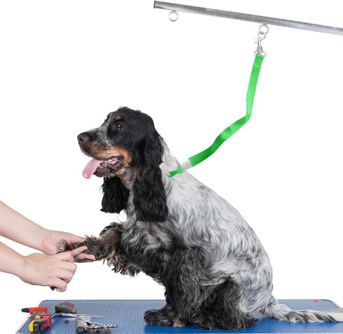 5 Pcs Pet Grooming Loops, Nylon Bathing Tether Straps, Adjustable Fixed Safety Rope for Grooming Table, Vibrant Colors