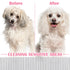 Ymapinc 4 Pack Flea Comb for Dogs Tear Stain Remover, Pet Combs, Grooming Dog Comb, Stainless Steel Tear Stain Remover