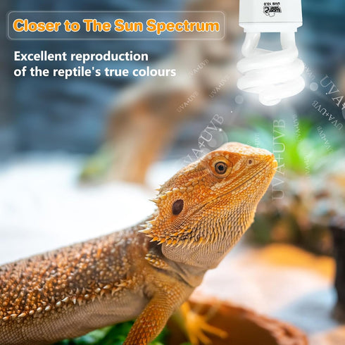 Lucky HERP UVA UVB Reptile Light 10.0, 15W Desert UVB 150 Compact Fluorescent Lamp for Reptiles