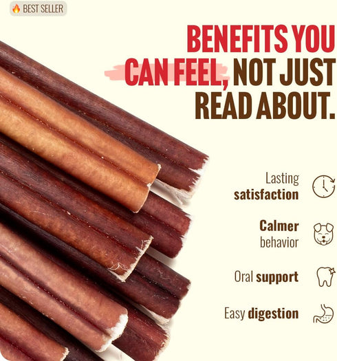 (4 Inch, 10 Pack) 100% Natural Farm Odor Free Bully Sticks for Small & Medium Dogs - Beef Chews for Pups, Non-GMO