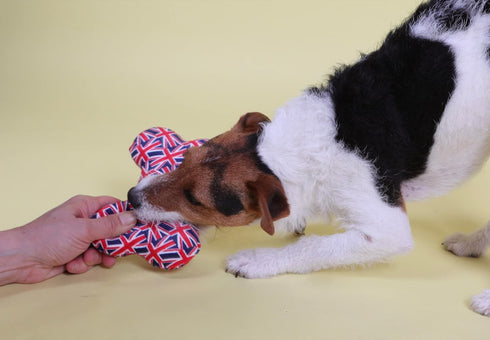 Pet London Union Jack British Flag Squeaker Bone Dog Toy, Full Size Squeaky Insert, UK Design