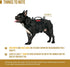 OneTigris Tactical Dog Harness, Military Vest with Handle for Small Dogs, Easy Control Training Walking