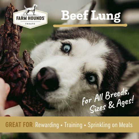 100% 2 oz 1 Pack Farm Hounds - Beef Lung - Premium Natural Beef Lung Jerky for Dogs - Made from Humanely Raised Cattle