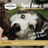 100% 2 oz 1 Pack Farm Hounds - Beef Lung - Premium Natural Beef Lung Jerky for Dogs - Made from Humanely Raised Cattle