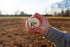 Kore Baseball Products Kore Soft Baseball Hand-Stitched Real Feel Foam Baseballs | Safe Indoor & Outdoor Practice Ball