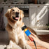 PIAOYUE Quiet Pet Grooming Kit for Heavy Coats 200W Electric Clipper with Safe