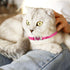 2 Pcs Adjustable Cat Collars with Heart Bling Breakaway and Bell (Pink+Purple) for Kitty