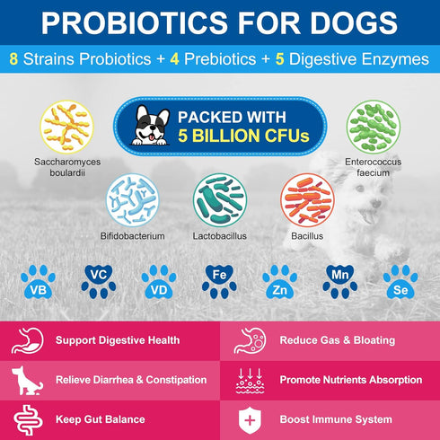 Dog Vitamins Powder, Probiotics & Digestive Enzymes for Gut Health, Complete Supplement for Joint & Skin Support